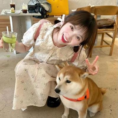 猫儿协奏曲